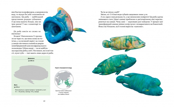 Книга Олена Шкаврон «Експедиція за дивовижними тваринами» 978-966-915-296-1