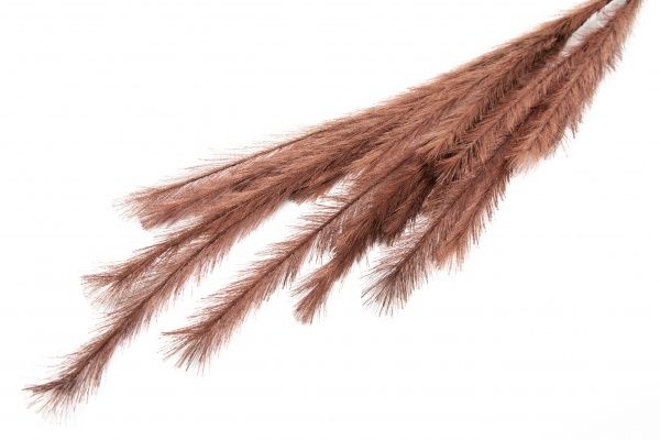 Гілочка декоративна Осока 120 см коричневого кольору Девілон