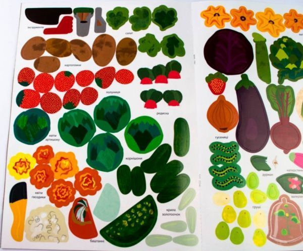 Книга «Моя книга природи : На городі» 978-617-09-4099-5