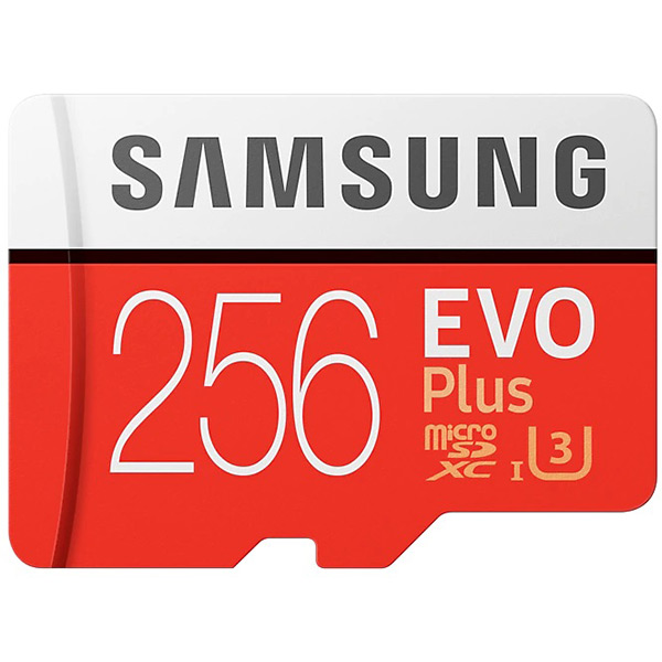 Карта памяти Samsung microSDHC 256GB Evo Plus UHS-I R100 W90MB/s