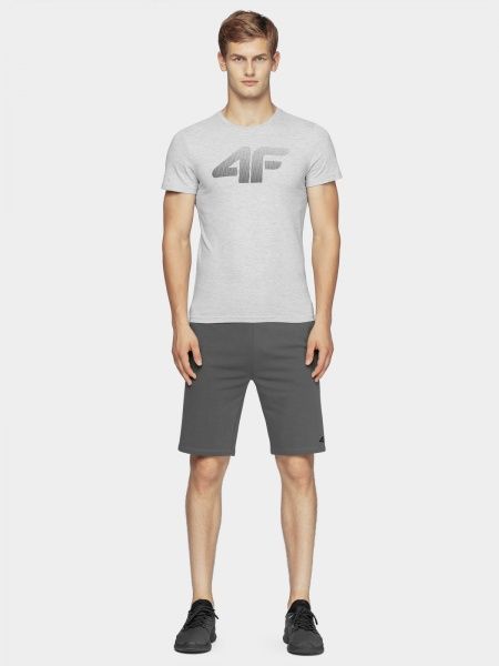 Футболка 4F NOSD4-TSM302-27M р.L серый