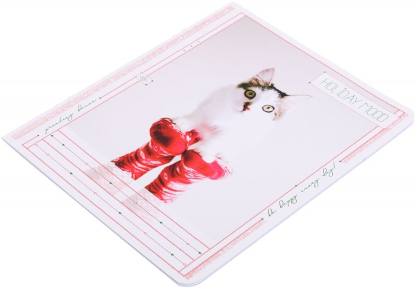 Тетрадь школьная Tadward коса