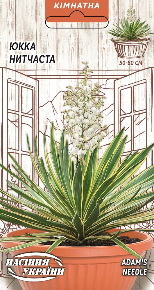 Насіння Юкка Нитчаста