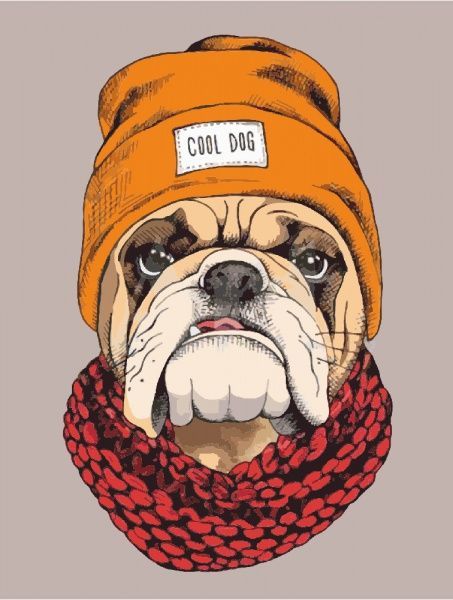 Полотно на картоні з контуром Pop Art Cool Dog 30х40 см Rosa Start 