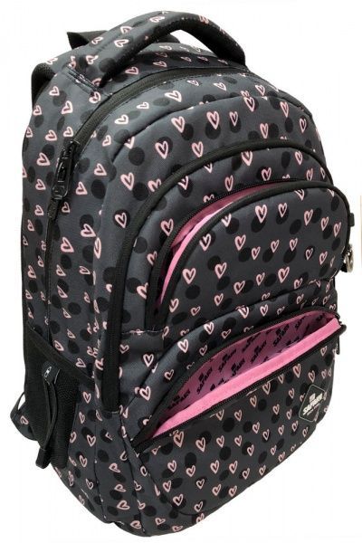 Ранец школьный Safari 3 отделения 21-182L