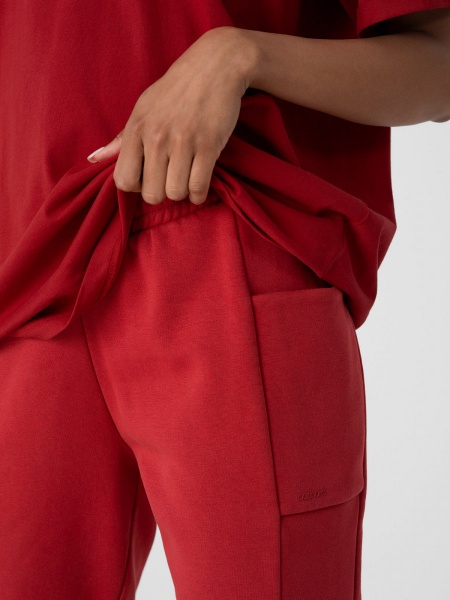 Брюки Outhorn HOZ21-SPDD606-60S р. S бордовый