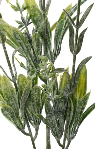 Рослина штучна Пшенія HONGYE B-07076 зелений