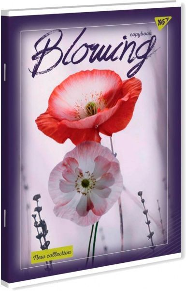 Тетрадь школьная 48 листов в клетку YES