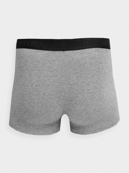 Труси 4F BOXER SHORTS M027 (2PACK) 4FAW23UBXSM027-90M р.M сірий