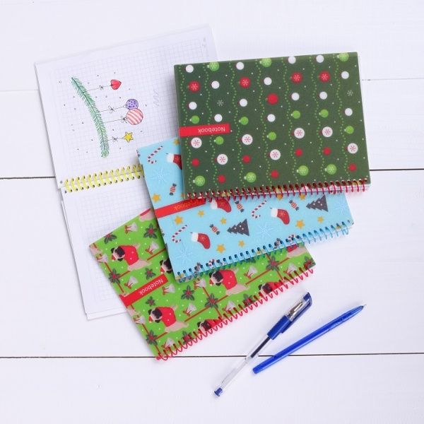 Блокнот Christmas: HoHoHo! А5 60 л. клетка E21950-03 Economix