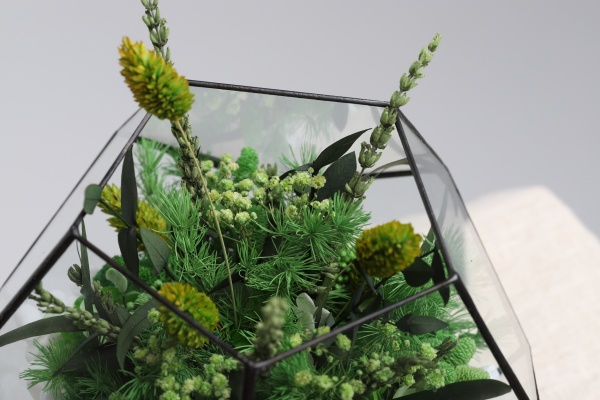 Флораріум Floretta Весняна свіжість (з живими стабілізованими квітами 24x24 см)