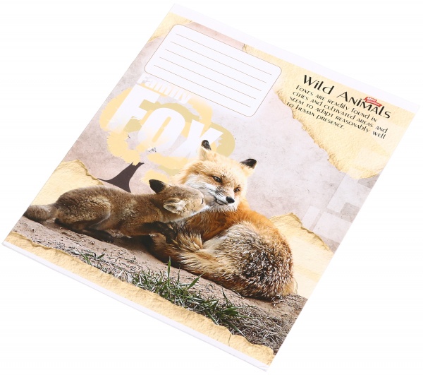 Зошит шкільний уф-лак 12 аркушів у лінійку в асортименті Мрії збуваються