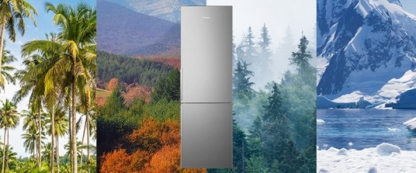 Холодильник Hisense RB343D4DDE (BCD-265)