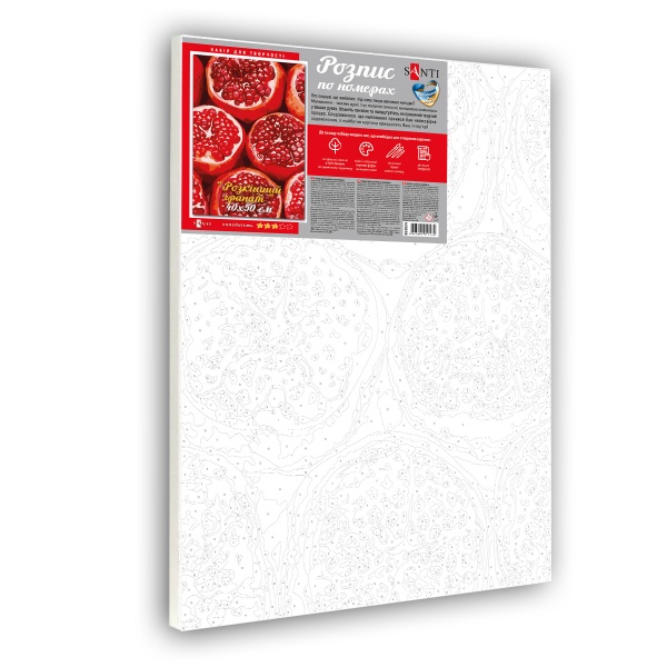 Картина по номерам Роскошный гранат 953824 40x50 см Santi 