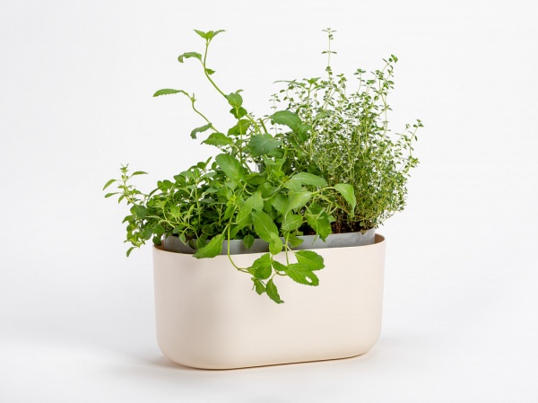 Вазон пластиковий Plastia з системою автополиву Tolita 30,5 см круглий 3,2 л бежевий (1909773040) 