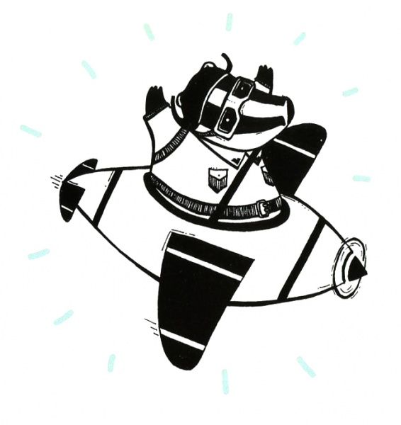 Книга Романа Рубан «Славные профессии барсука» 978-617-739-509-5