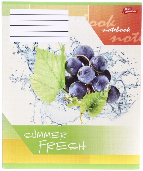 Тетрадь школьная 36 листов в линейку в ассортименте Мечты сбываются