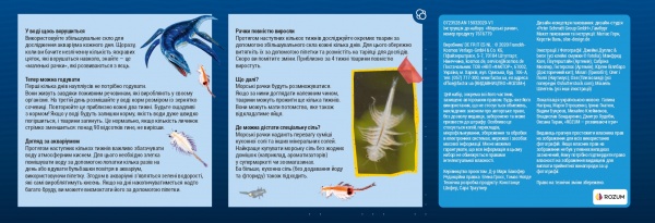 Набор для опытов Kosmos Морские создания (Sea Dogs) 616779