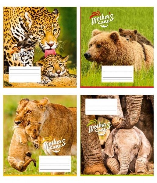 Комплект тетрадей 36 листов в клетку Мамина забота Полиграфист