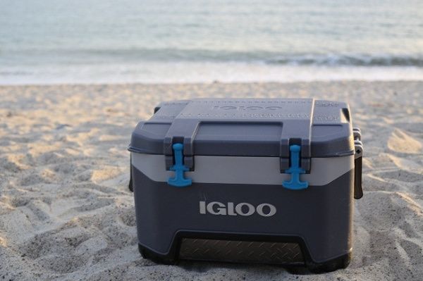 Контейнер ізотермічний Igloo BMX 52, 49 л 