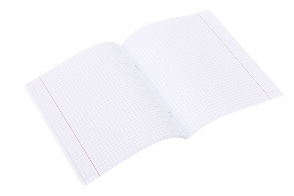 Тетрадь школьная Мавка 24 листов клетка Nota Bene