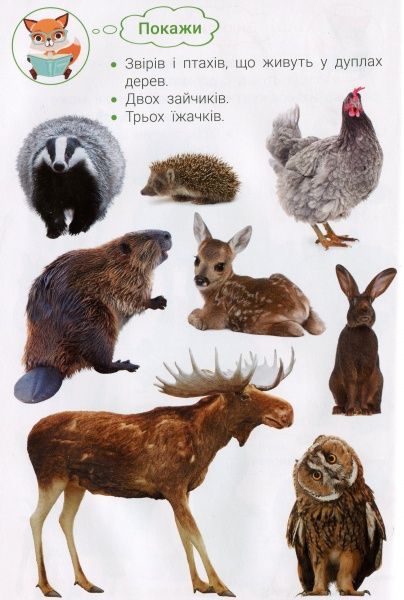 Книга «Фотокнига. Царство тварин. Серія шукайчик. Тв.обкладинка»