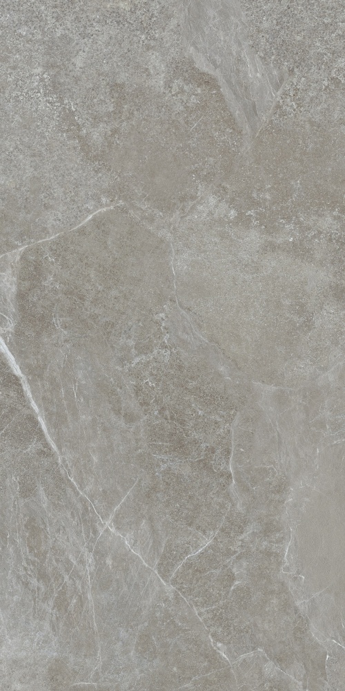 Плитка Allore Group Mariya Grey F P R Mat 60x120 см