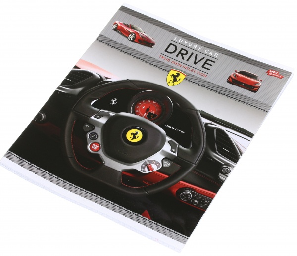 Тетрадь школьная уф-лак 48 листов в клеточку в ассортименте Мечты сбываются