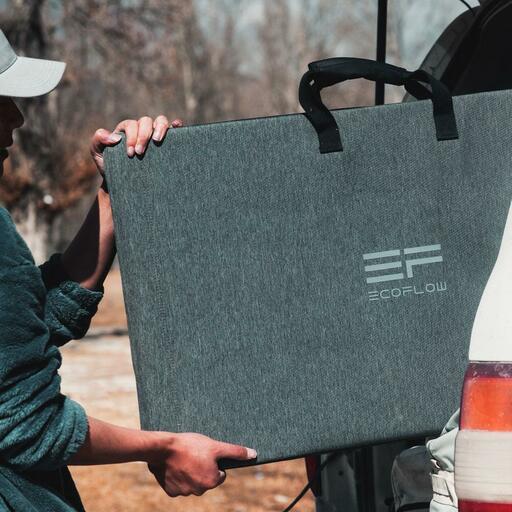 Солнечная панель EcoFlow 220 Вт Solar Panel