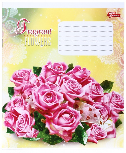 Зошит шкільний 24 аркуша у клітинку в асортименті Мрії збуваються