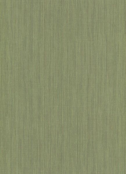 Шпалери вінілові на флізеліновій основі Erismann Paradisio 6309-36 0,53x10,05 м 