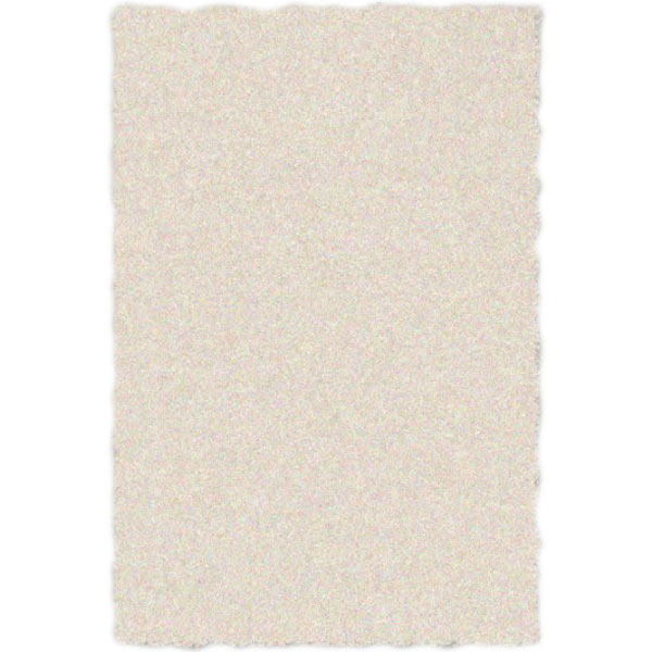 Ковер Аквила Shaggy Lama 1039-1-33028 2x3 м