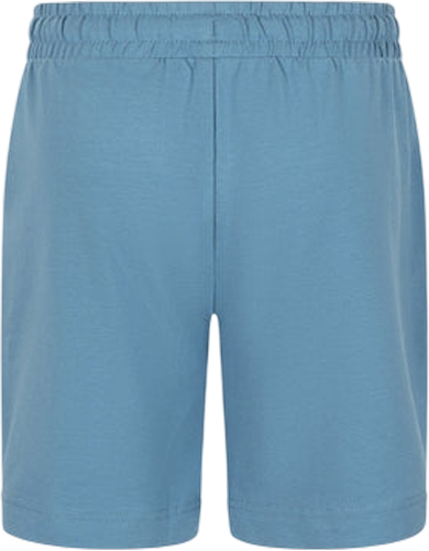 Шорти Energetics Renzo B 433108-526 р. 140 синій