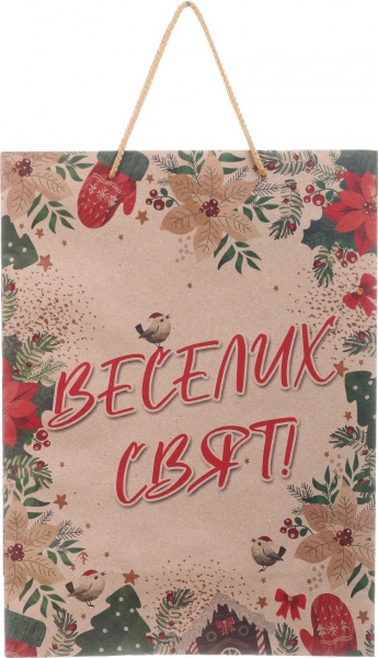 Пакет подарунковий XLL-1 ЕКО НР