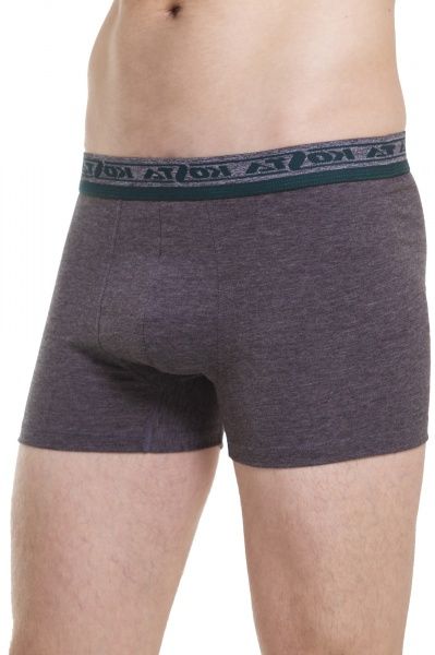 Трусы-шорты мужские KOSTA 0082-6 XL серый