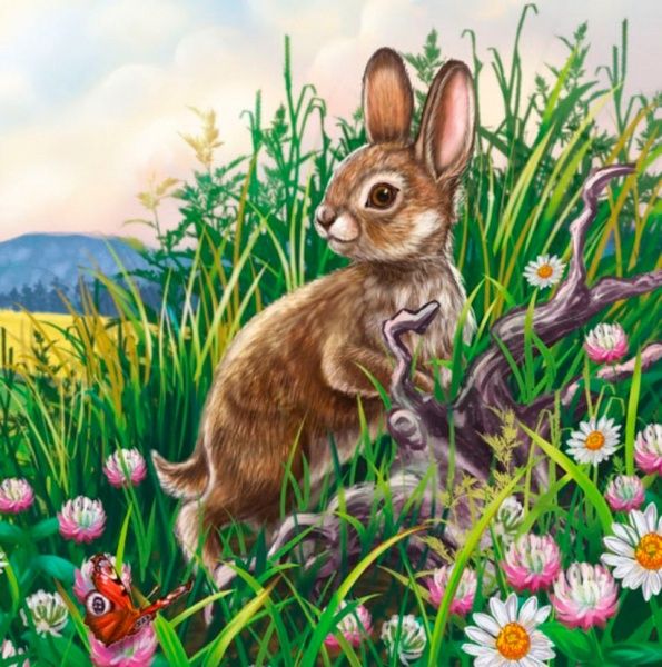 Книга Светлана Зайцева «Милые зверята: Зайчик» 978-966-748-971-7