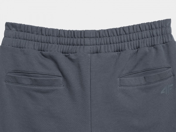 Брюки 4F 4FSS23TTROM139-25S р. M серый