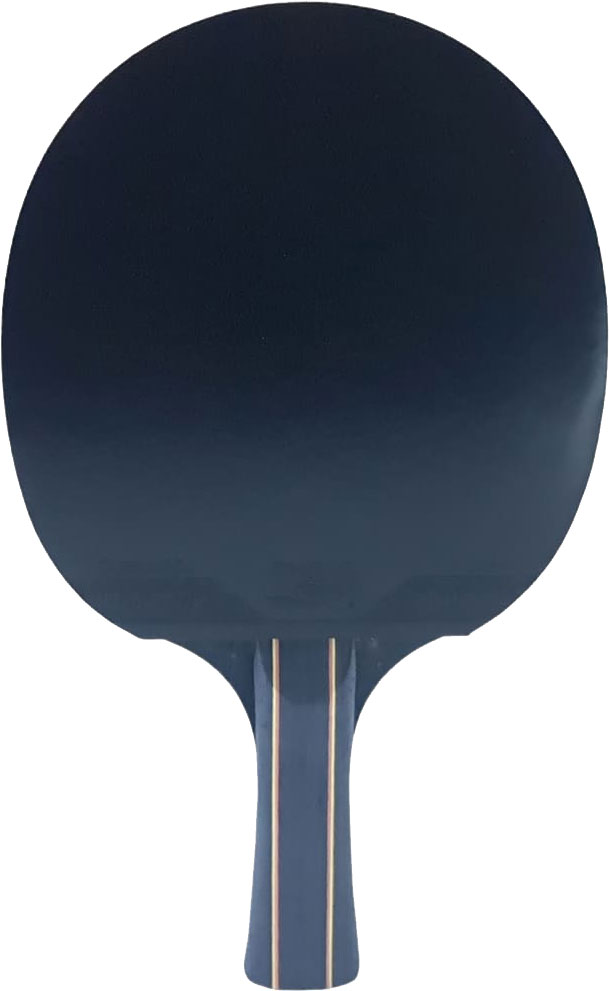Ракетка для настольного тенниса DHS р.OS 729 7281-B