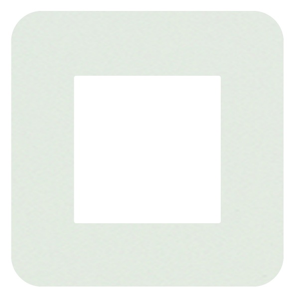 Рамка одномісна Efapel Latina білий матовий 42910 TBM