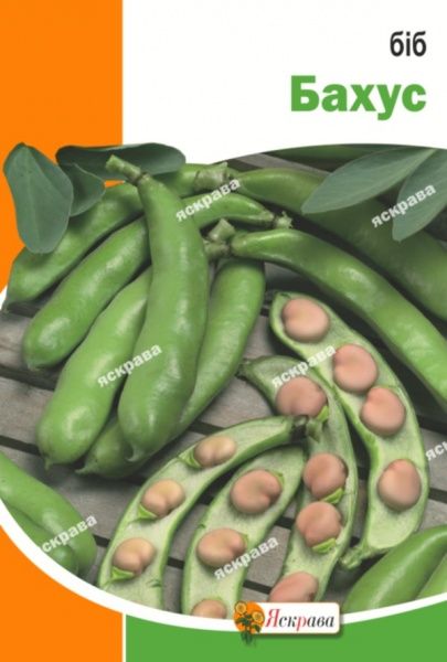Семена Яскрава боб Бахус крупноплодный 20г (4823069912864)