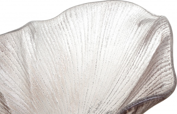 Фруктовниця Ginger clear 50х18 см Antonio Tammaro 