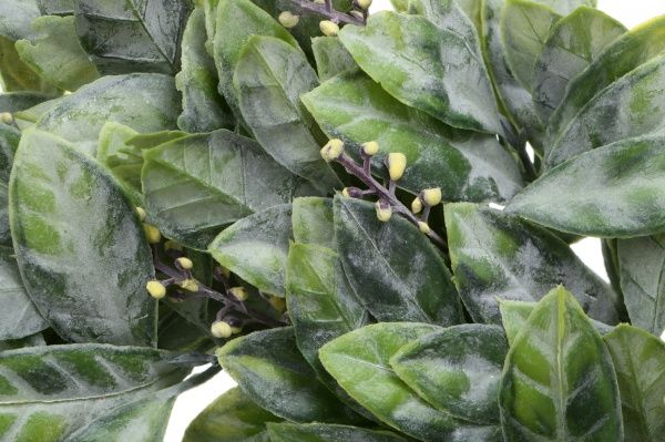 Венок декоративнный Мелисса