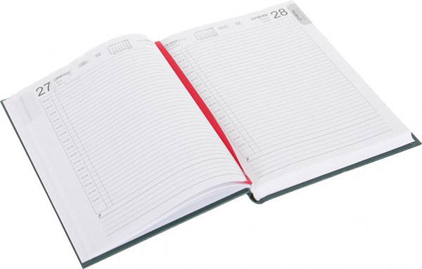 Щоденник 2021 BASIC А5 датований зелений UP! (Underprice)