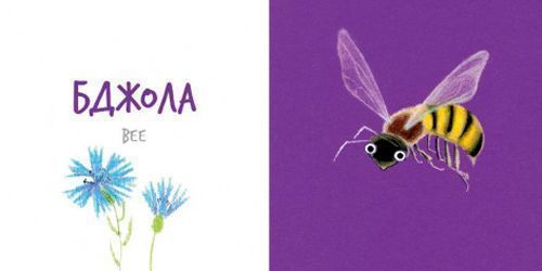 Книга Катерина Таберко «Комахи» 978-617-7395-16-3