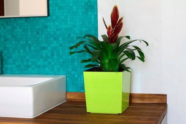 Горщик Lamela ЮКА 250 квадратний світло-зелений 