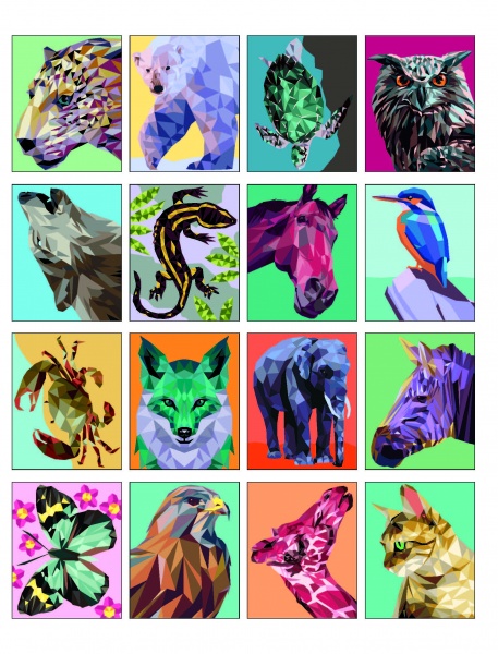 Книга-раскраска «Колорметрія» 978-617-8023-02-7