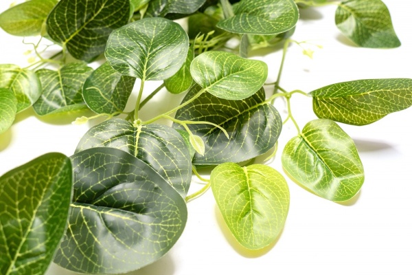 Гілочка декоративна з листям 105 см зелена 631901 Девілон