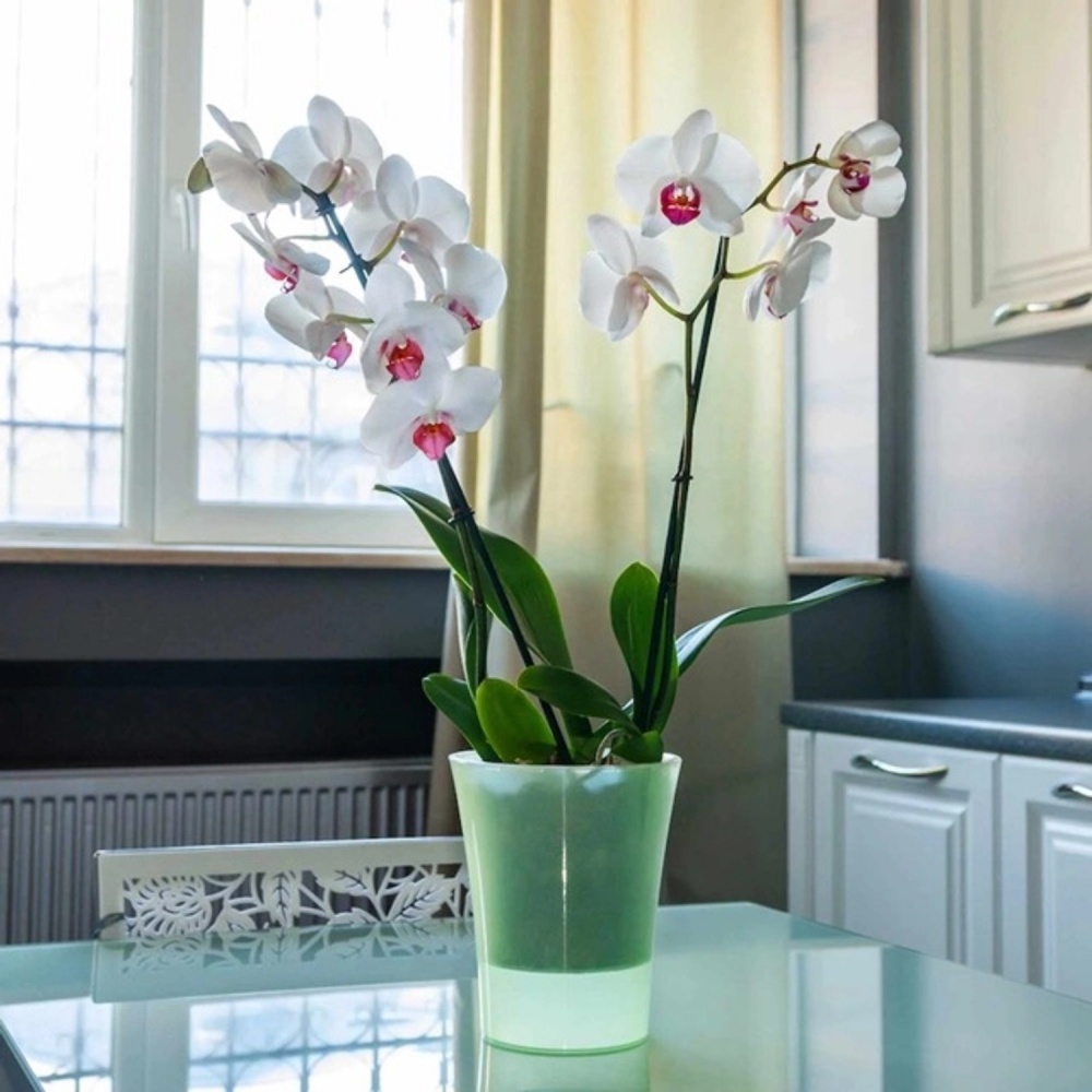 Вазон пластик Arte-Dea круглий блідо-зелений 1,25 л Santino (2017055)