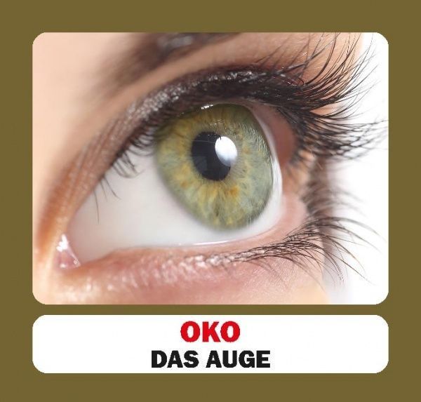 Книга «Навчальний посібник. Частини тіла. нім-укр»