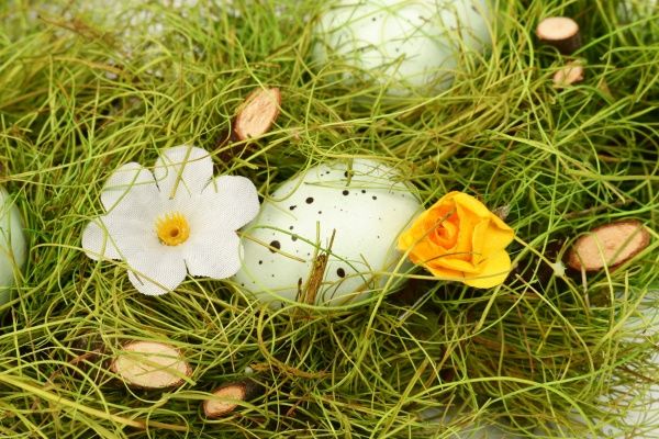 Венок из яиц на траве WJ978